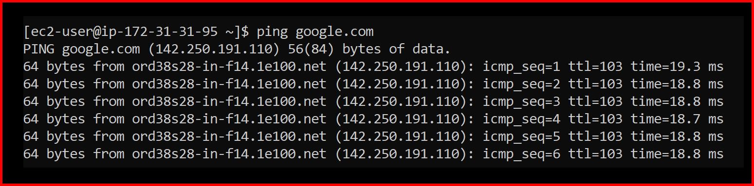 Picture showing the ping to Google successfully